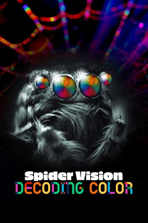 Spider Vision: Decoding Color 2024 official movie poster