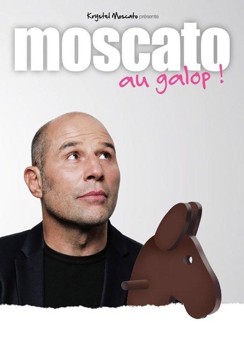 Vincent Moscato - Au galop ! 2016 official movie poster
