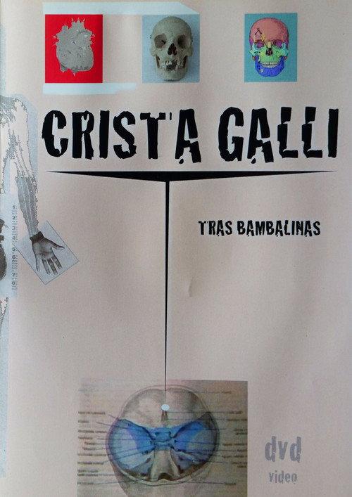 Crista Galli: Tras Bambalinas 2008 official movie poster