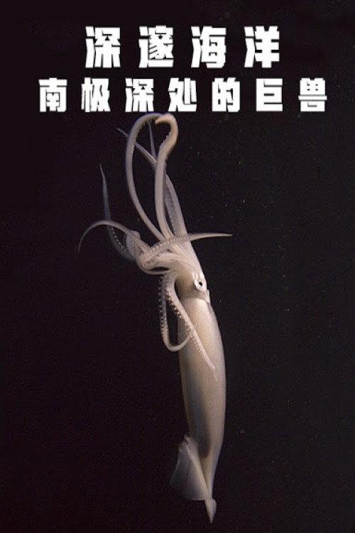 Deep Ocean: Giants of the Antarctic Deep 2018 official movie poster