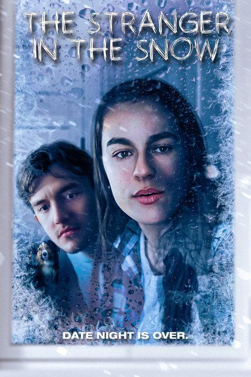 The Stranger in the Snow 2025 official movie poster