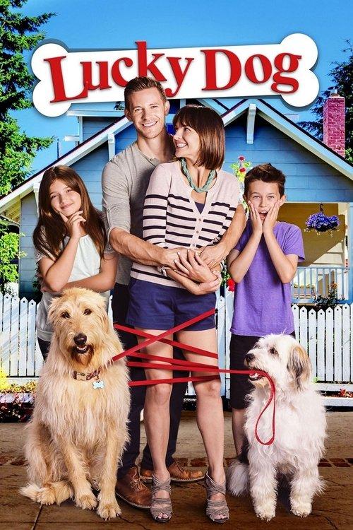 Lucky Dog 2014 official movie poster