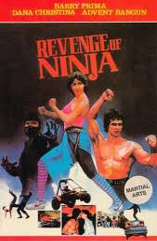 Revenge of the Ninja 1984 official movie poster