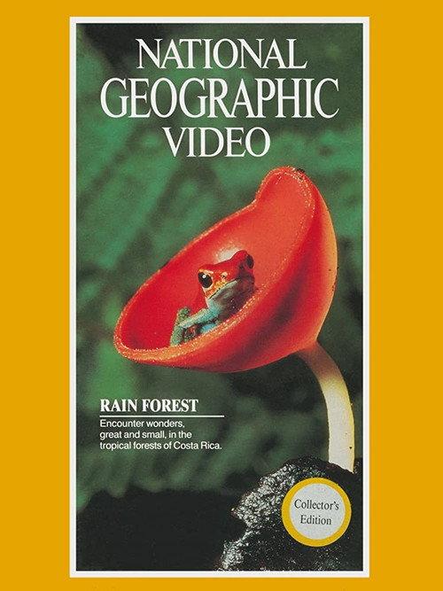 Rain Forest 1983 official movie poster