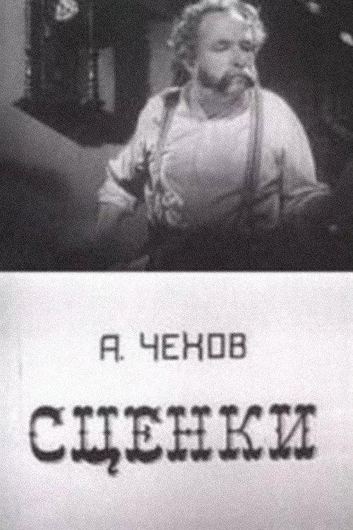 A.P. Chekhov's Scenes 1973 official movie poster