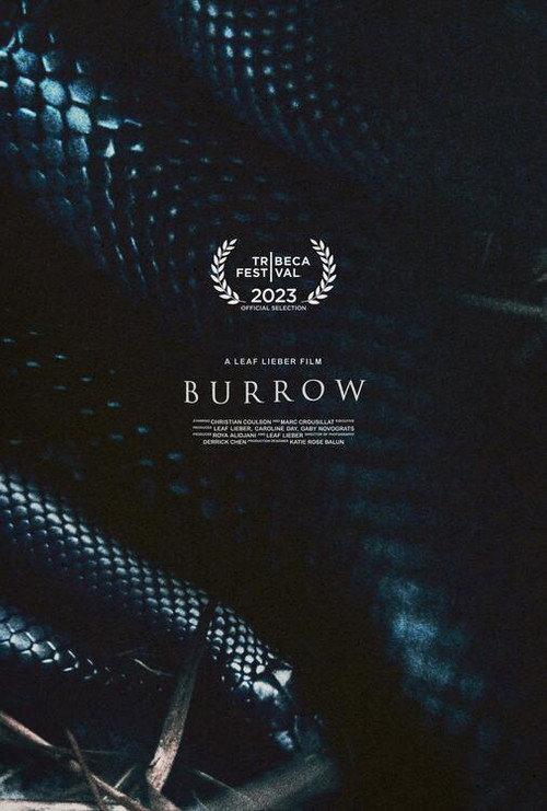 Burrow 2023 official movie poster