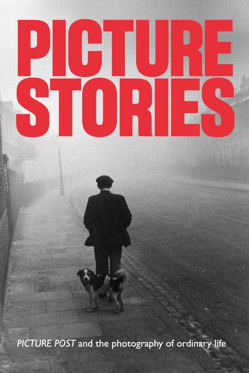 Picture Stories 2021 official movie poster