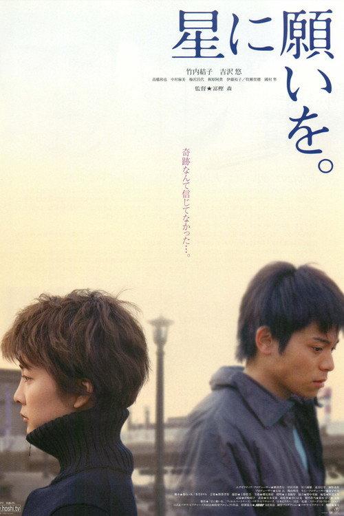 Night of the Shooting Stars 2003 official movie poster