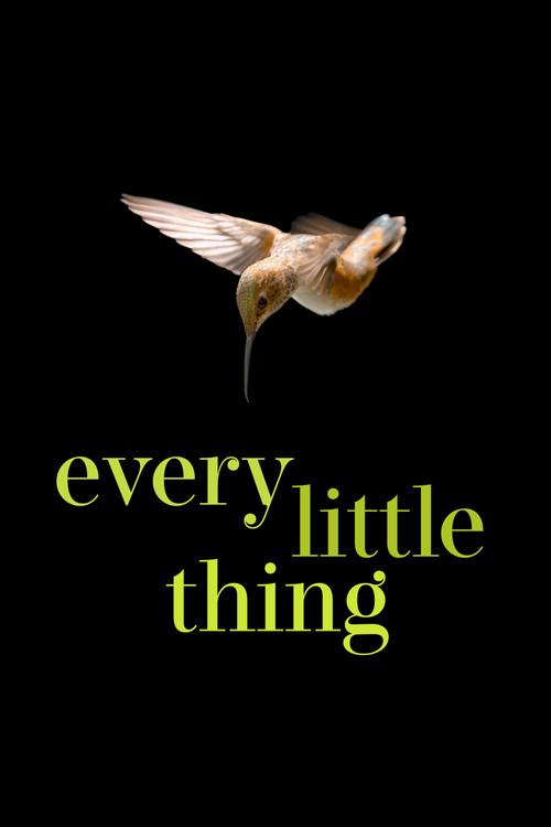 Every Little Thing 2025 official movie poster