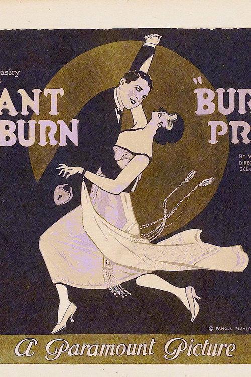 Burglar Proof 1920 official movie poster