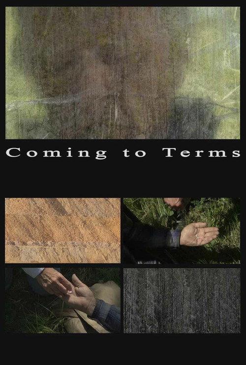 Coming to Terms 2013 official movie poster