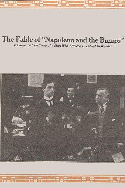 The Fable of Napoleon and the Bumps 1914 official movie poster