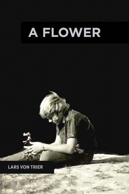 A Flower 1971 official movie poster