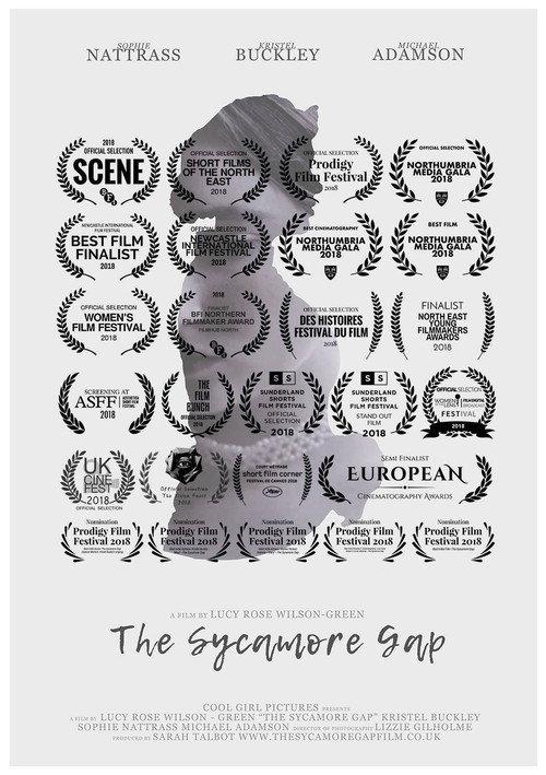 The Sycamore Gap 2018 official movie poster