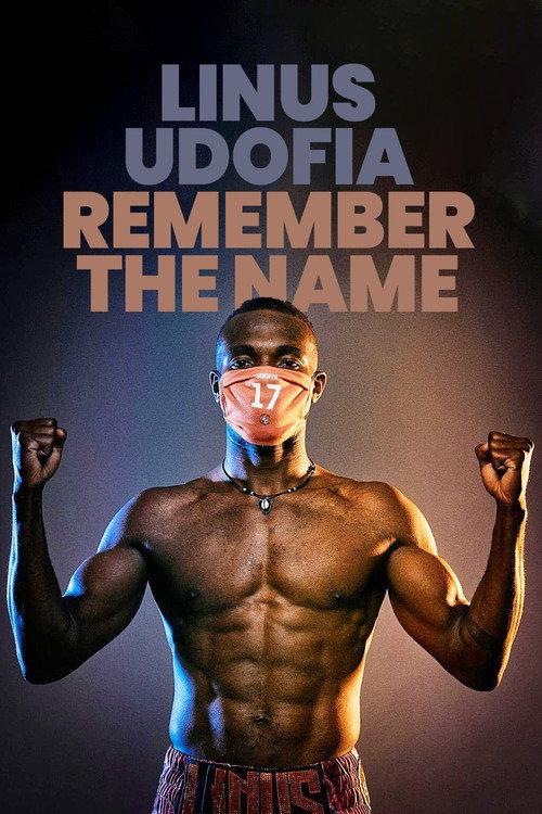 Remember the Name 2016 official movie poster