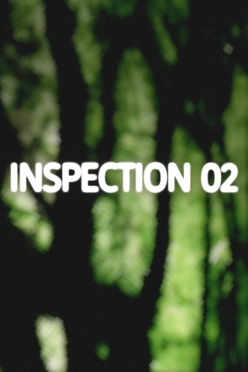 Inspection 02 2025 official movie poster