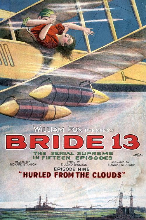 Bride 13 1920 official movie poster