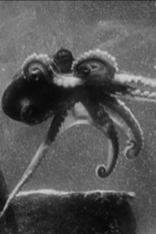 Fathoms Deep Beneath the Sea 1922 official movie poster