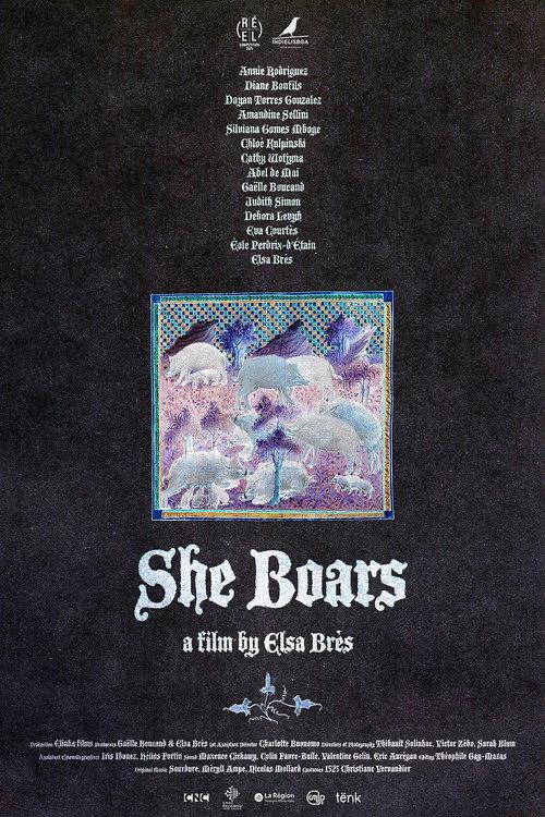 She Boars 2025 official movie poster