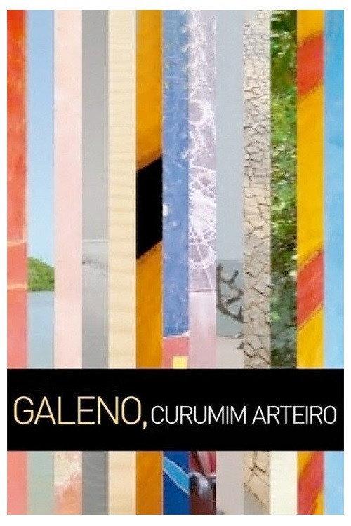 Galeno, Curumim Arteiro 2010 official movie poster