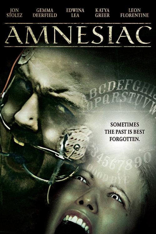 Amnesiac 2013 official movie poster