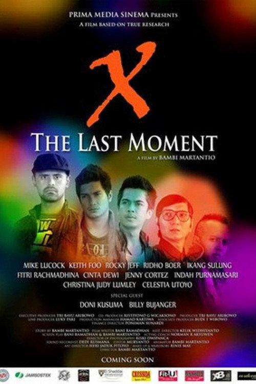 X- The Last Moment 2011 official movie poster