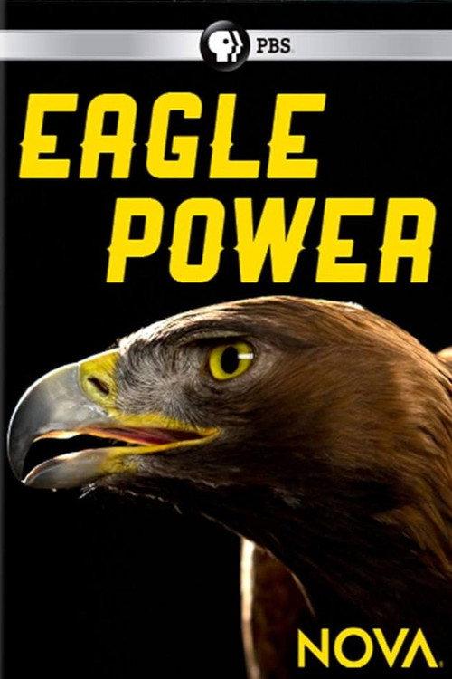 Eagle Power 2020 official movie poster