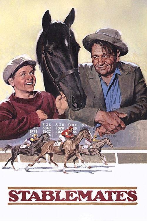 Stablemates 1938 official movie poster