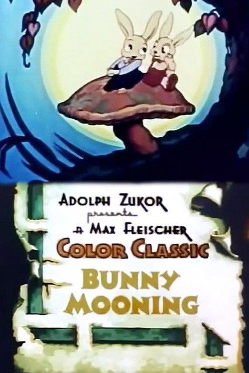 Bunny Mooning 1937 official movie poster