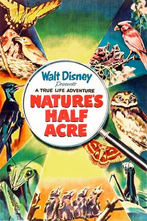 Nature's Half Acre 1951 official movie poster