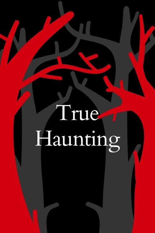 The Haunting in Wicker Park  official movie poster