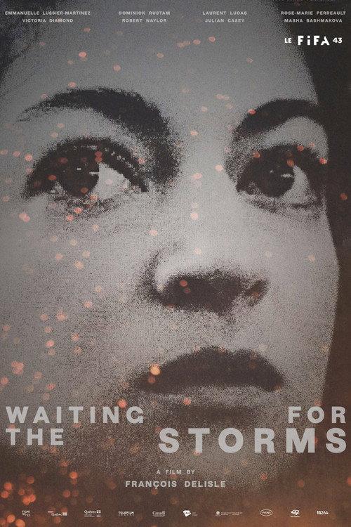 Waiting for the Storms 2025 official movie poster