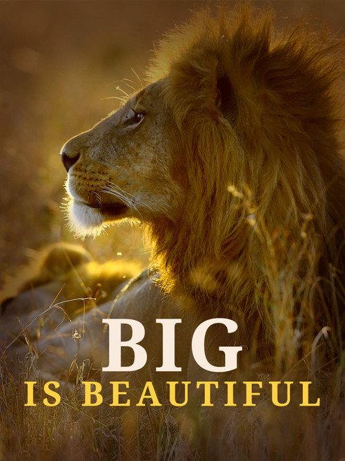 Big is Beautiful 2017 official movie poster