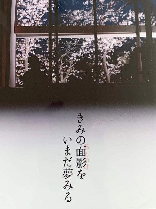 I’m still dreaming of your face 2022 official movie poster