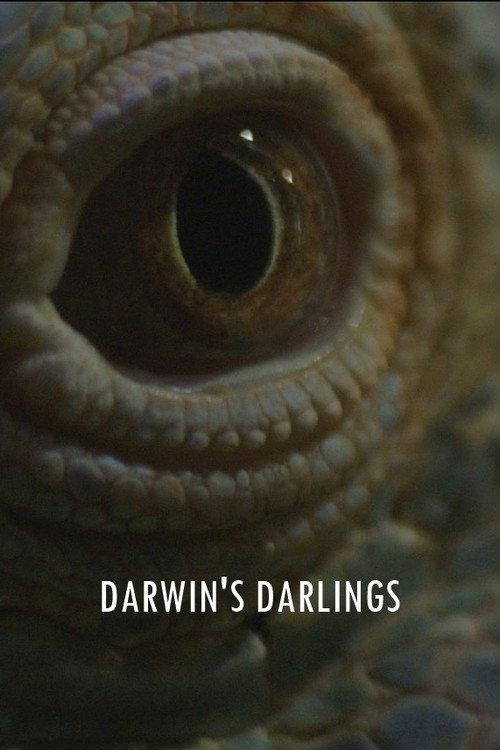 Darwin's Darlings 2025 official movie poster