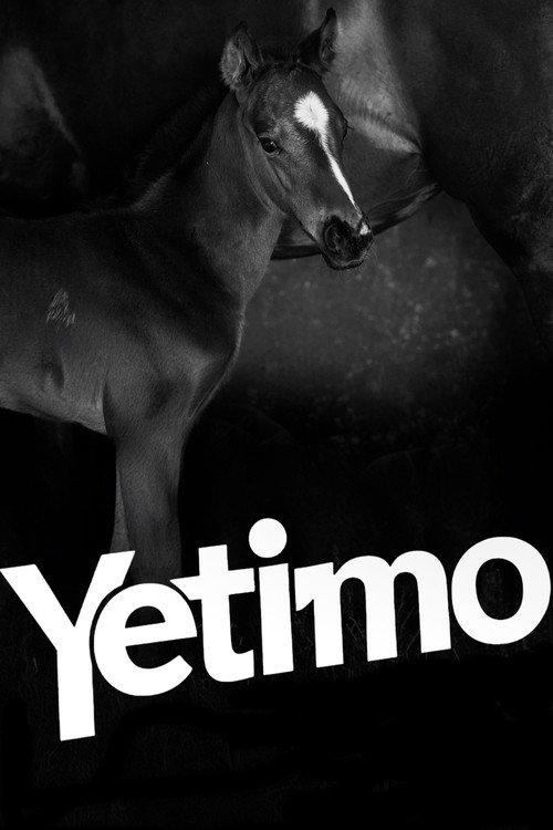 Yetimo 2024 official movie poster