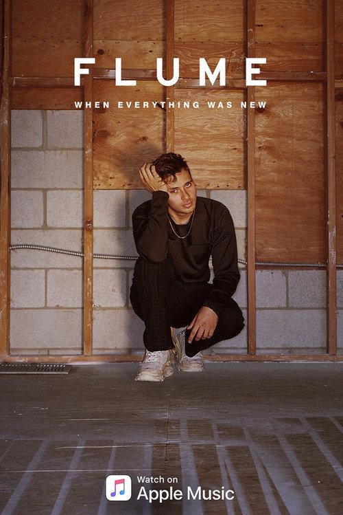 Flume: When Everything Was New 2018 official movie poster