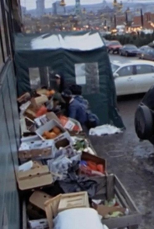 Surfing the Waste: a Musical Documentary about Dumpster Diving 2008 official movie poster