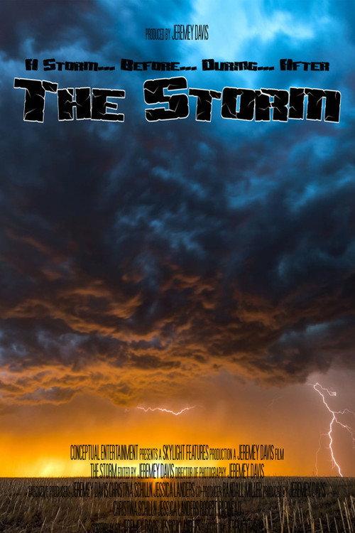 The Storm 2007 official movie poster