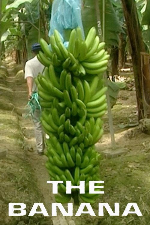 The Banana 1997 official movie poster