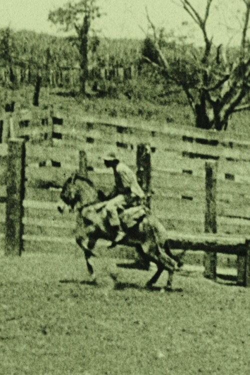 Auf einer Pferdefarm in Rio Grande! 1908 official movie poster