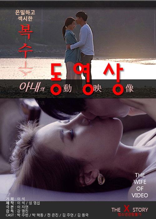 My Wife's Videos 2017 official movie poster