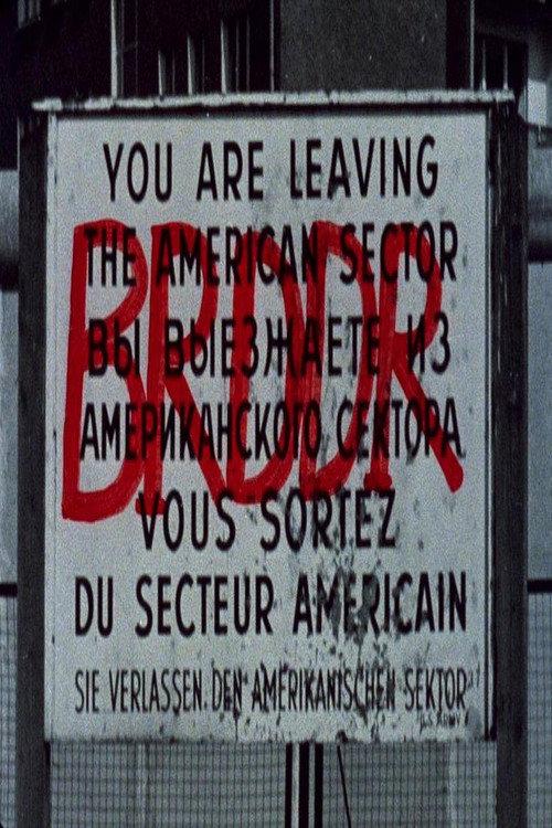 BRDDR 1981 official movie poster
