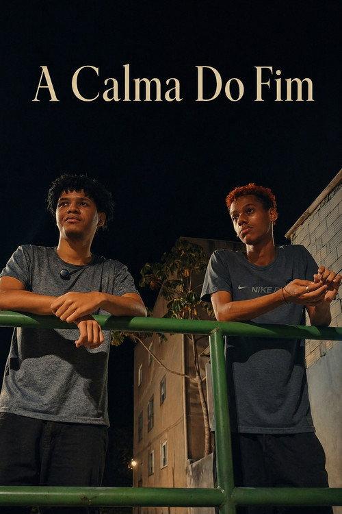 A Calma Do Fim 2026 official movie poster