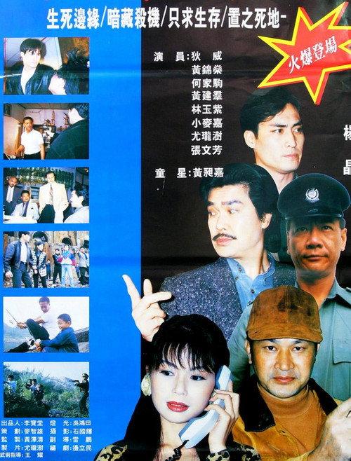 The First Professional Killer 1997 official movie poster
