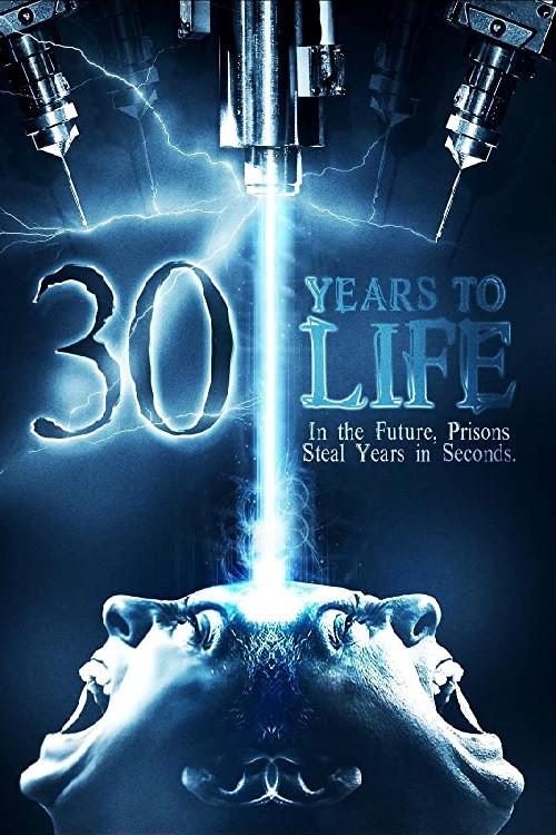 30 Years to Life 1998 official movie poster