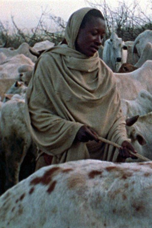 Boran Herdsmen 1974 official movie poster