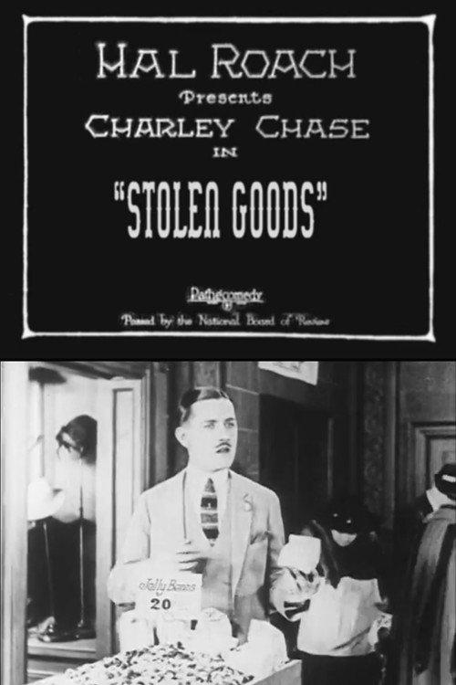 Stolen Goods 1924 official movie poster