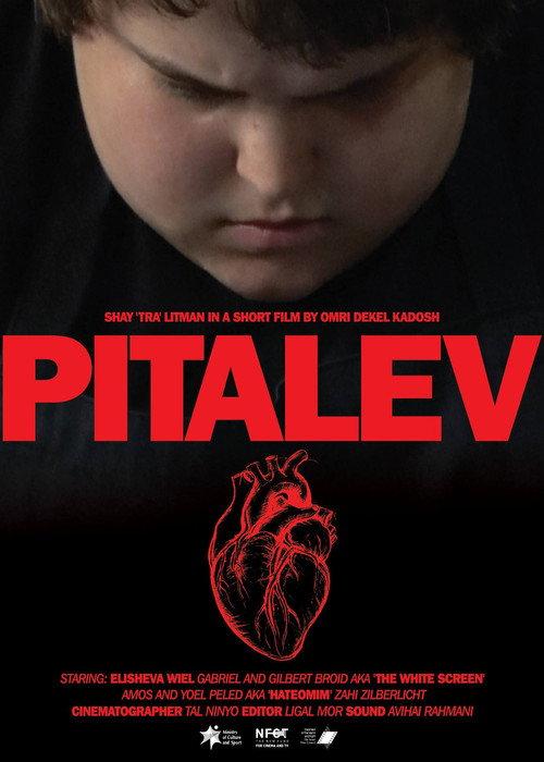 Pitalev 2018 official movie poster