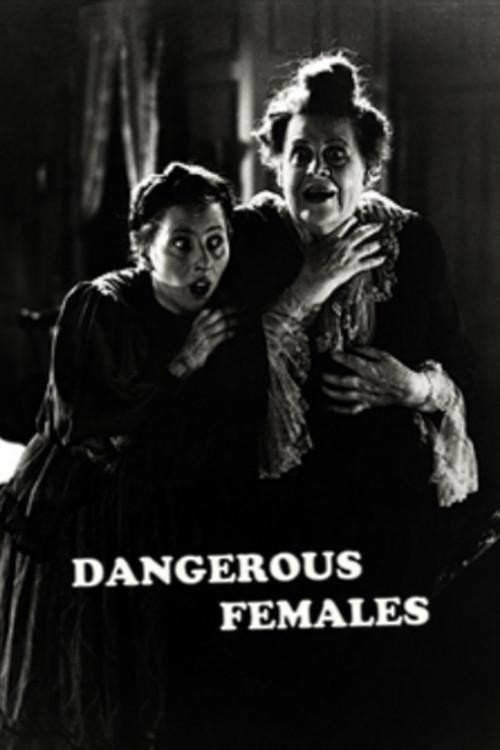Dangerous Females 1929 official movie poster
